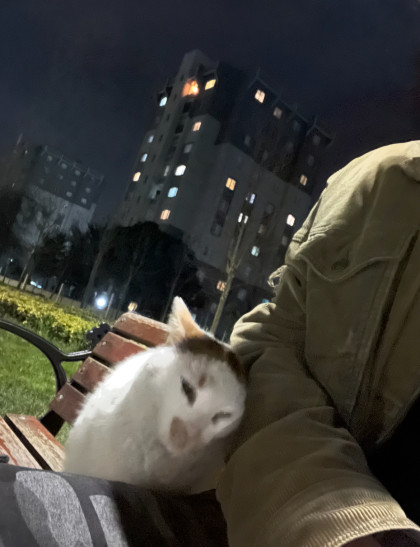 kullanıcı tarafından yüklenmiş görsel