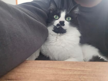 kullanıcı tarafından yüklenmiş görsel