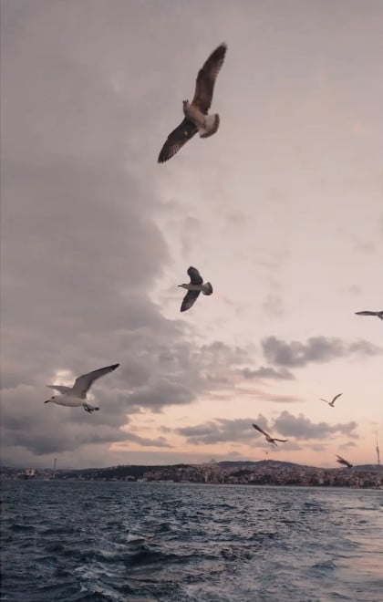 kullanıcı tarafından yüklenmiş görsel