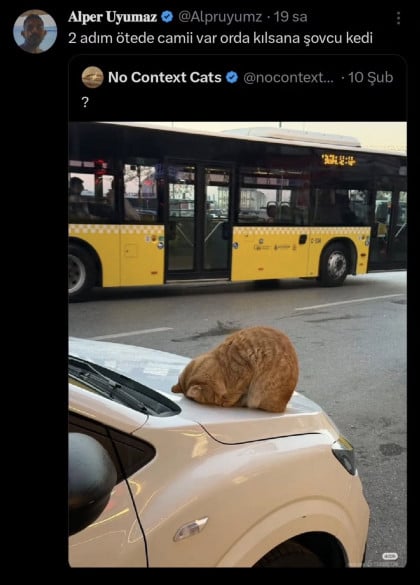 kullanıcı tarafından yüklenmiş görsel