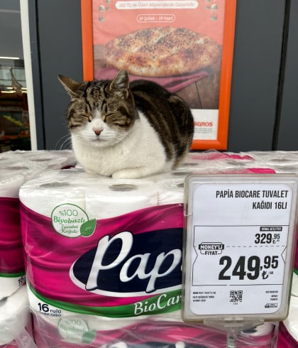 kullanıcı tarafından yüklenmiş görsel