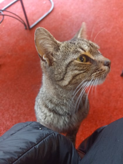 kullanıcı tarafından yüklenmiş görsel