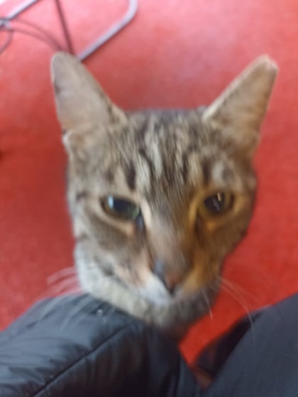 kullanıcı tarafından yüklenmiş görsel