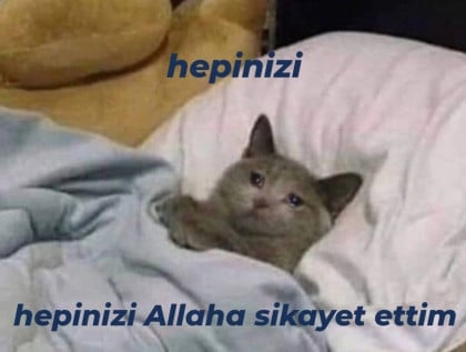 kullanıcı tarafından yüklenmiş görsel