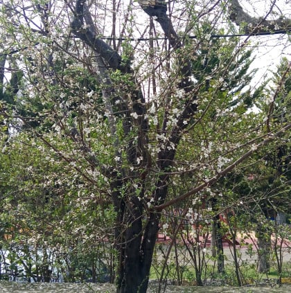 kullanıcı tarafından yüklenmiş görsel