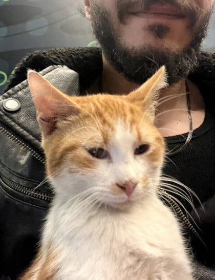 kullanıcı tarafından yüklenmiş görsel