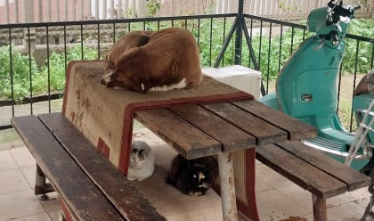 kullanıcı tarafından yüklenmiş görsel