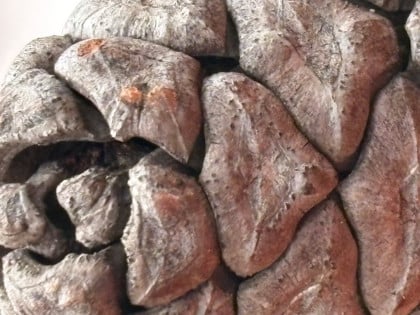 kullanıcı tarafından yüklenmiş görsel