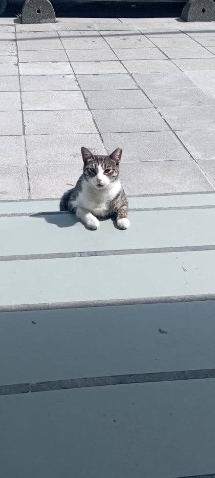 kullanıcı tarafından yüklenmiş görsel