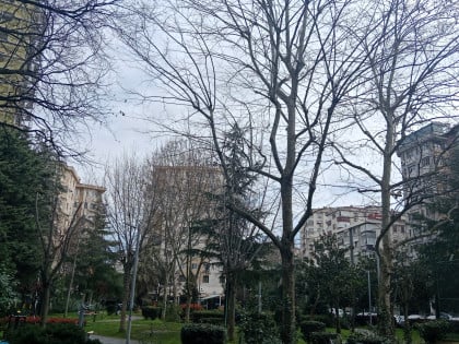 kullanıcı tarafından yüklenmiş görsel