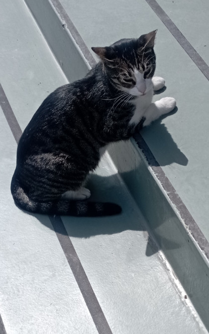 kullanıcı tarafından yüklenmiş görsel