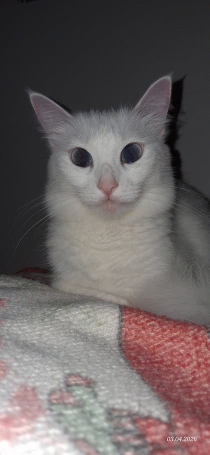 kullanıcı tarafından yüklenmiş görsel