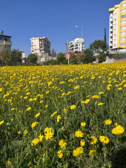 kullanıcı tarafından yüklenmiş görsel