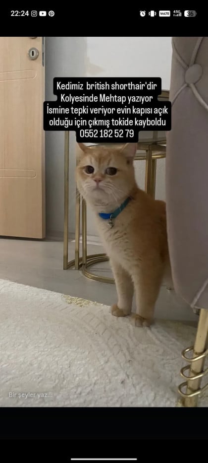 kullanıcı tarafından yüklenmiş görsel