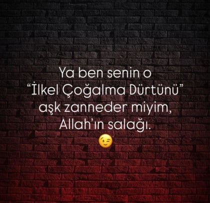 kullanıcı tarafından yüklenmiş görsel