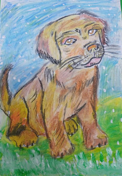 kullanıcı tarafından yüklenmiş görsel