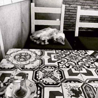 kullanıcı tarafından yüklenmiş görsel