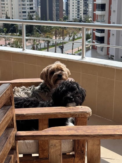 kullanıcı tarafından yüklenmiş görsel