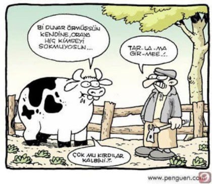 kullanıcı tarafından yüklenmiş görsel