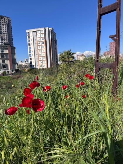 kullanıcı tarafından yüklenmiş görsel