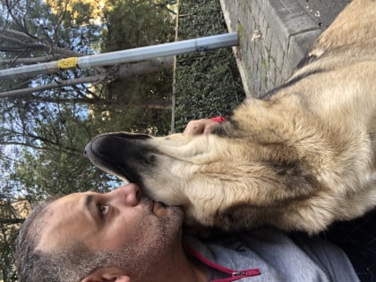 kullanıcı tarafından yüklenmiş görsel