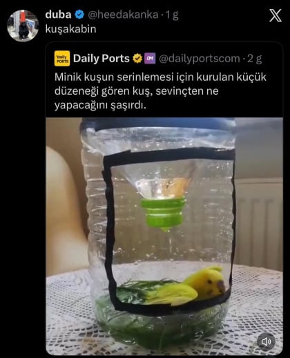 kullanıcı tarafından yüklenmiş görsel