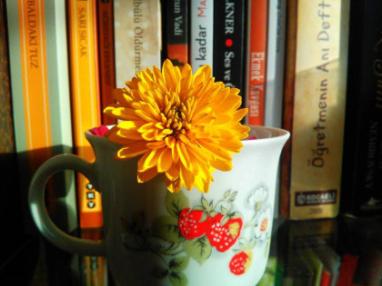 kullanıcı tarafından yüklenmiş görsel