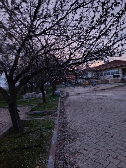 kullanıcı tarafından yüklenmiş görsel