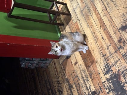 kullanıcı tarafından yüklenmiş görsel