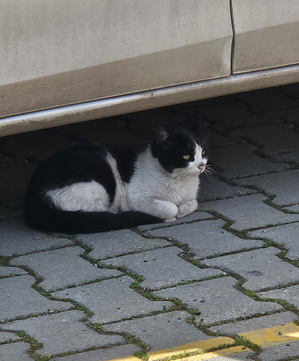 kullanıcı tarafından yüklenmiş görsel