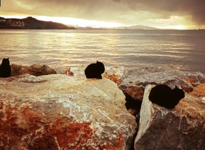 kullanıcı tarafından yüklenmiş görsel