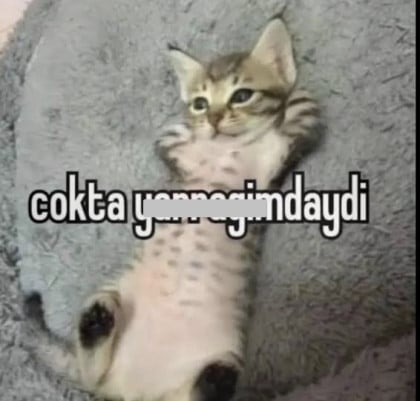 kullanıcı tarafından yüklenmiş görsel