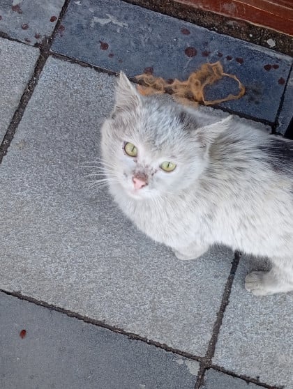 kullanıcı tarafından yüklenmiş görsel