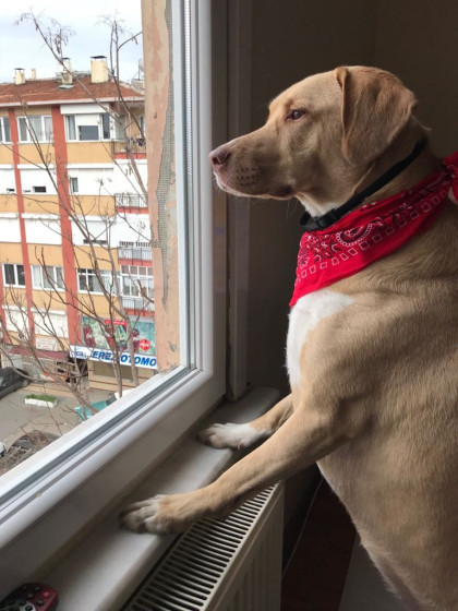 kullanıcı tarafından yüklenmiş görsel