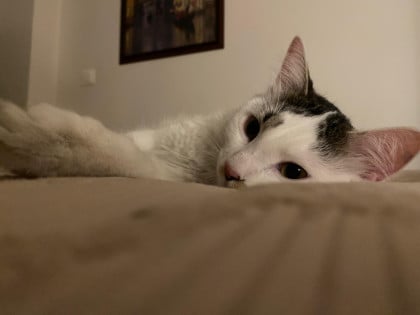 kullanıcı tarafından yüklenmiş görsel