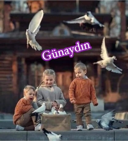 kullanıcı tarafından yüklenmiş görsel