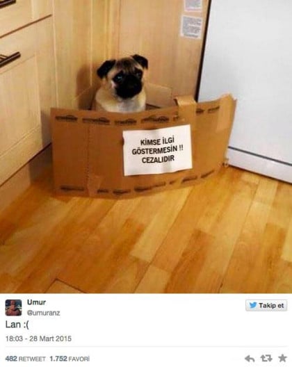 kullanıcı tarafından yüklenmiş görsel