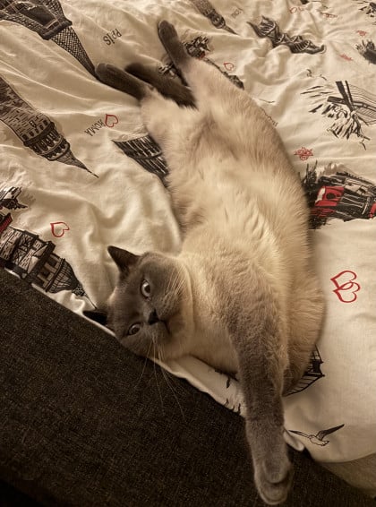 kullanıcı tarafından yüklenmiş görsel