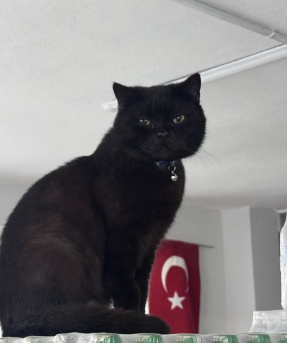 kullanıcı tarafından yüklenmiş görsel