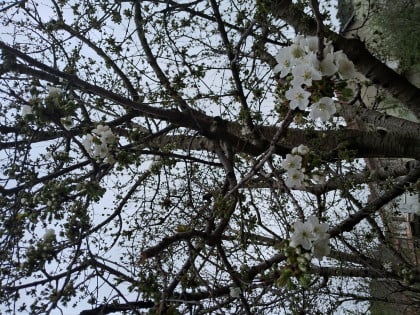 kullanıcı tarafından yüklenmiş görsel