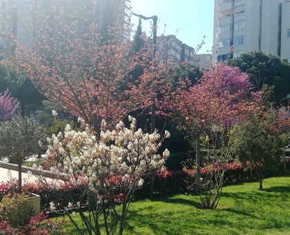 kullanıcı tarafından yüklenmiş görsel