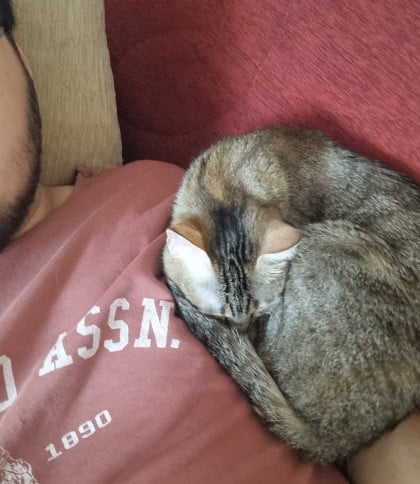 kullanıcı tarafından yüklenmiş görsel