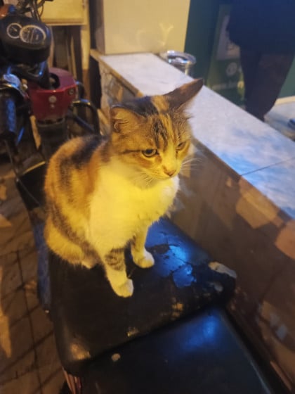 kullanıcı tarafından yüklenmiş görsel