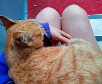 kullanıcı tarafından yüklenmiş görsel