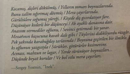 kullanıcı tarafından yüklenmiş görsel