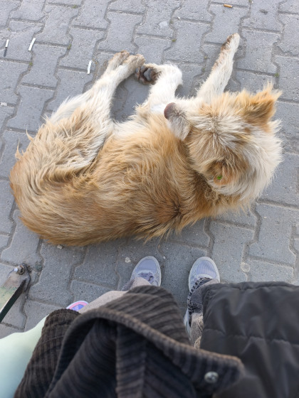 kullanıcı tarafından yüklenmiş görsel