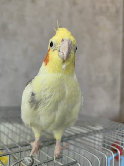kullanıcı tarafından yüklenmiş görsel