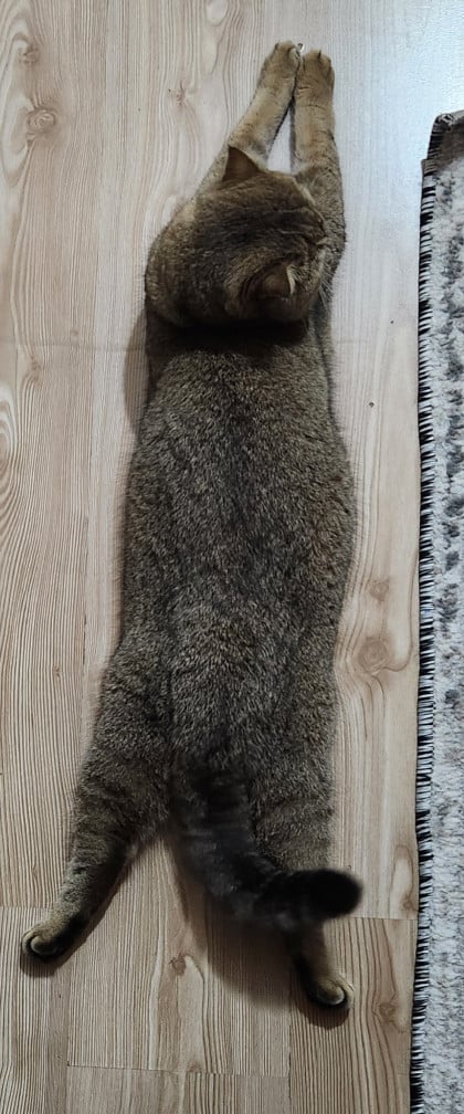 kullanıcı tarafından yüklenmiş görsel