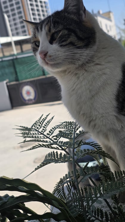 kullanıcı tarafından yüklenmiş görsel