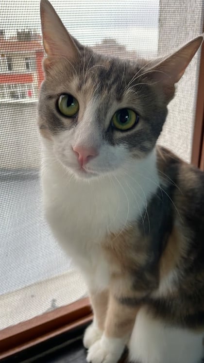 kullanıcı tarafından yüklenmiş görsel
